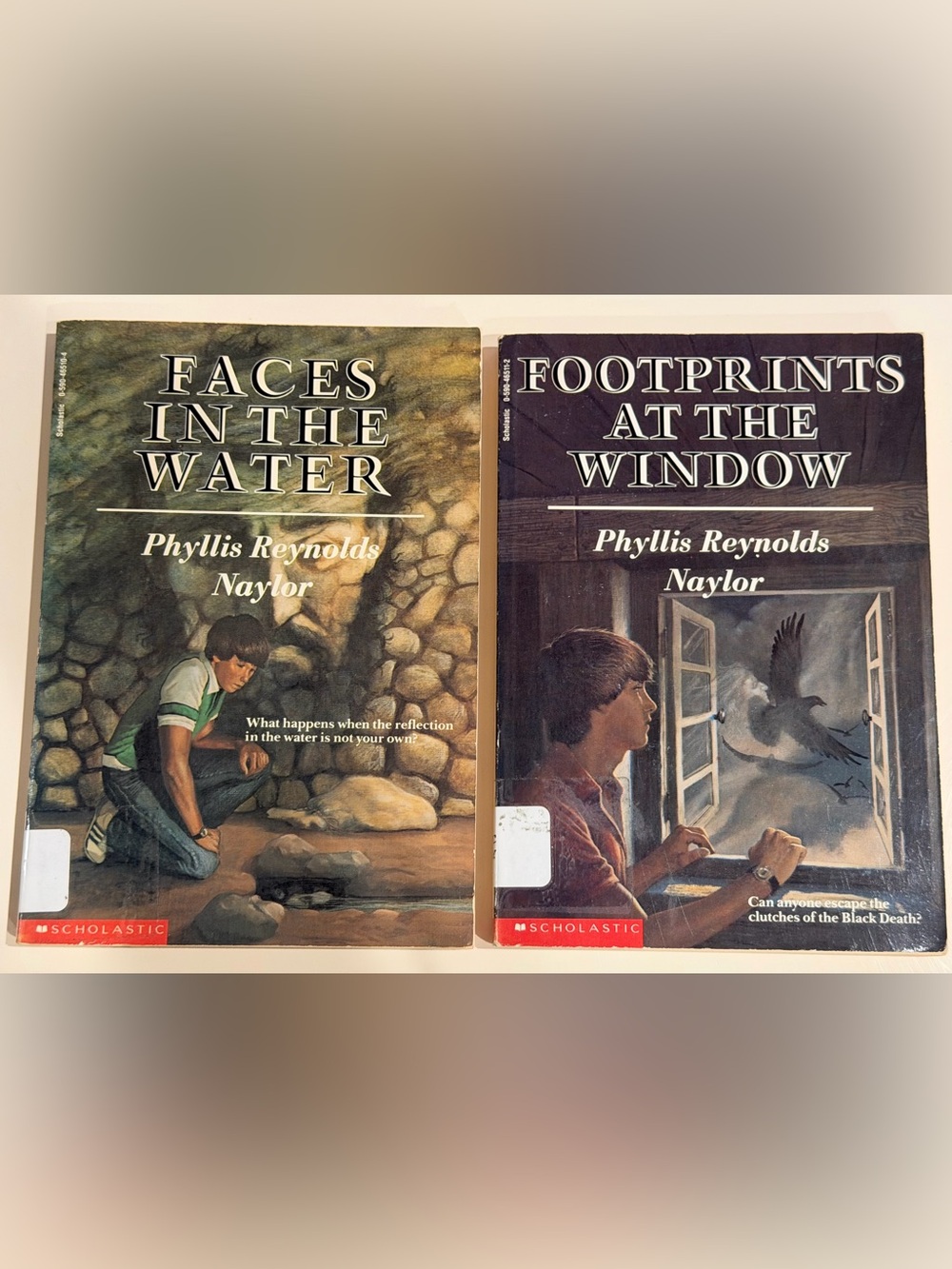 The York Trilogy Phyllis Reynolds Naylor Faces In The Water + Footprints Window